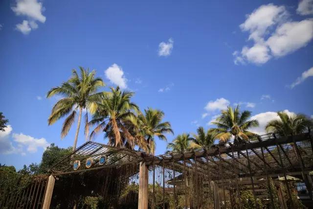 西雙版納 西雙版納