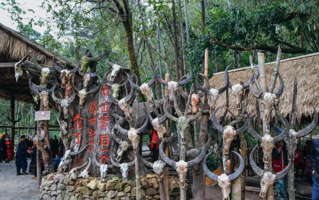 《云南蟲谷》取景地翁丁原始部落