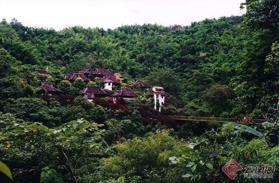 西雙版納定制游