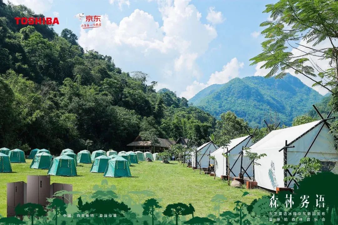 西雙版納營地推薦